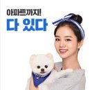참다방 이미지