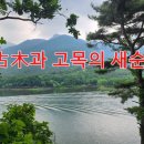 새순 이미지