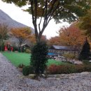 숲스토리야영장 이미지