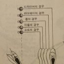 스윙의 기초 이미지