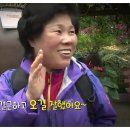 20131115 방송 VJ 특공대(690회) - 포천 허브랜드편 이미지