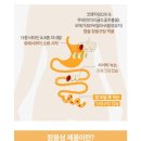 올인원커머스