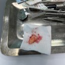 연세돌담치과의원