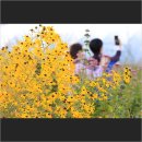 아리수로 25길 이미지