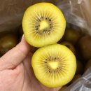 🍎 홍로 햇사과 🍐 원황 햇배 💫 추희자두 🍑 황도/딱딱이 🎃 제주보우짱 🍊 카라카라 오렌지 🍇 씨없는 충량포도 이미지