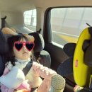 경상온천 이미지