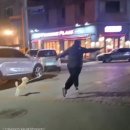 주인 이미지