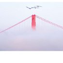 개도널사랑해 이미지