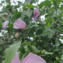 우공 양주점 이미지