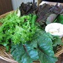 진미횟집 이미지