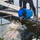 대물낚시터 이미지