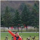 하늘 목장 이미지