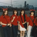 도도독B 이미지