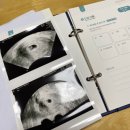 아산더편한산부인과의원 이미지