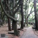 제주 삼성혈 네이버블로그
