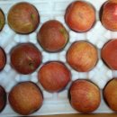 봉화산농장 이미지