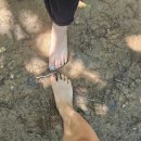 연암공업대학교 입구 | 진주 도심 맨발걷기 좋은 가좌산 테마숲길 여름에 가보기