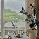 화성길 | [2025.06] 강화도 여행 (강화풍물시장/호텔에버리치/금풍양조장/강화루지/외포왕꽃게탕)