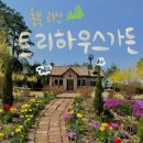 괴산트리하우스가든 : 충북 괴산 산막이옛길 들렸다 가기 좋은 카페 솔직후기 _ 내돈내산