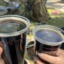 원필 언필터드 솔로 콘서트 앤 2026 뷰민라 후기