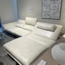 프리덴 | [내돈내산] 프리덴(FRIDEN) 맞춤제작 소파 입주 전 계약 후기 (feat. 리빙페어)