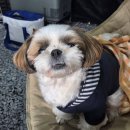 조아 노래연습장 | 전세캠 다녀왔음,,! 그런데 브샤를 곁들인