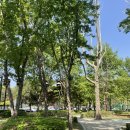 종합운동장역 이미지