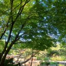 알게스트하우스 종묘점 | 서울 도심 속 조용한 힐링 스팟 종묘 유네스코 세계문화유산