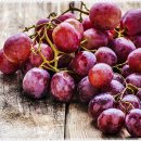 런던의오후치과의원 이미지