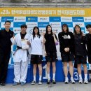 팀태권도 이미지