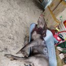 선재농장 이미지