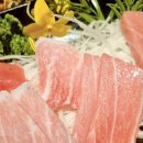 진어참치 이미지