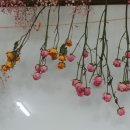 작은꽃캔들 Daum카페