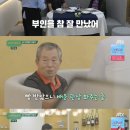 시고르 이미지