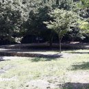 개울가 야영장 이미지