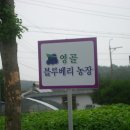 영골농장 이미지