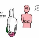 언니비어 이미지