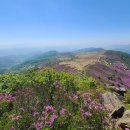 삼성장여관 이미지