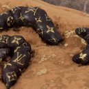 백운오양골 캠핑장 이미지