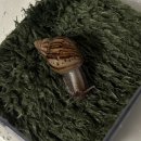 작은친구 이미지