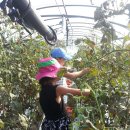 동신병설유치원 이미지