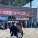 고양이박람회:: 19th 궁디팡팡캣페스타 다녀왔어요!!