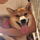 벤더커피