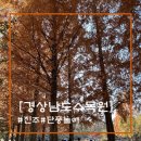 경상남도수목원주차장 이미지