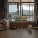 가평댕댕이애견독채펜션퍼플 이미지