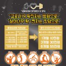 킹덤스포렉스 이미지