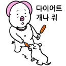 인셀덤대전대리점