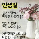 늙은 수탉의 묘한흉계 이미지