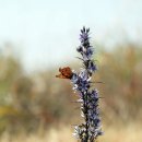 풀 - 전주시 완산구 홍산남로 83-19 | 풀