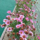 몽촌빗물펌프장 화장실 이미지